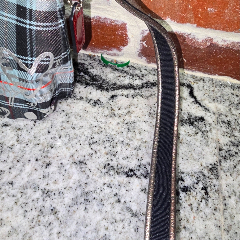 Coach POPPY SHOULDER/WRISTLET RARE Color And PATTERN - Picture 4 of 9